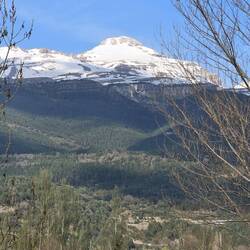 Mountain views driving up to our condo by taxi.