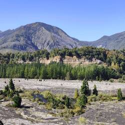 Im Conguillio Nationalpark