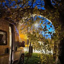 Historic vibes for historic dreams♡