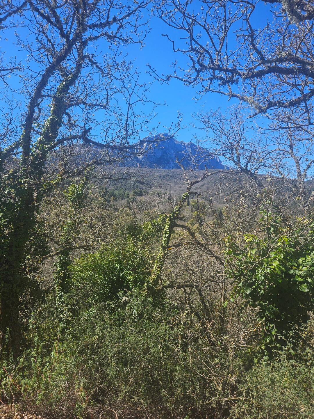 Rocca Busambra