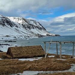 Petite maison viking