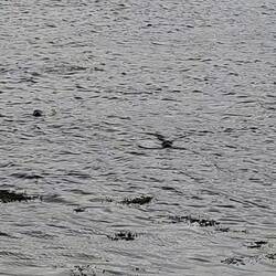 "Salut les "au fil de nos envies", revenez bientôt !"