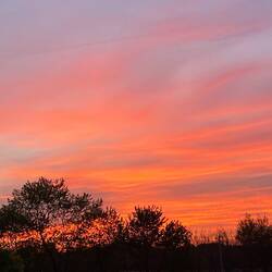 Sundown wieder in Kentucky 😉