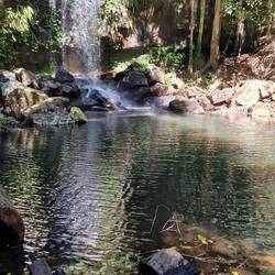 Curtisfall