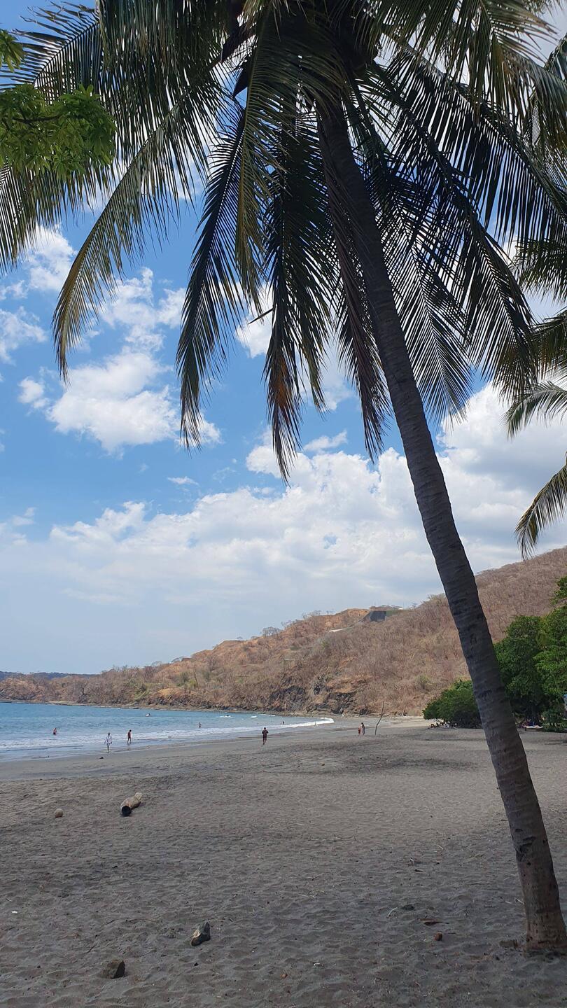 Angekommen am Pazifikstrand Playa Hermosa. Im Hintergrund kein Grün...