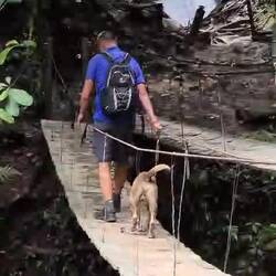 Mit weiteren Hängebrücken