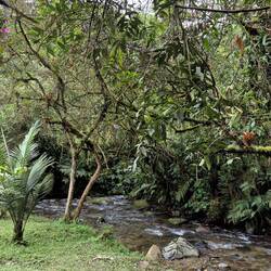Ein grünes Paradies