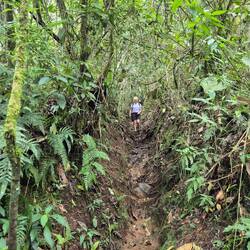 Und wegen eines gestrigen Gewitters ist alles sehr schlammig