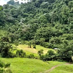 Santa Rita Natural Reserve