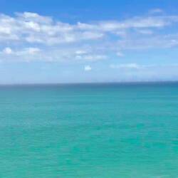 🌊🐬🌊🐬🌊🐬