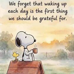 Dankbarkeit - für Kleines und Großes🪷