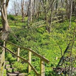 Aufstieg zum wirklich tollen Volkspark