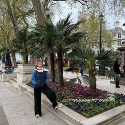 Palmen 🌴 ❤️
