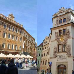 Paint by numbers houses