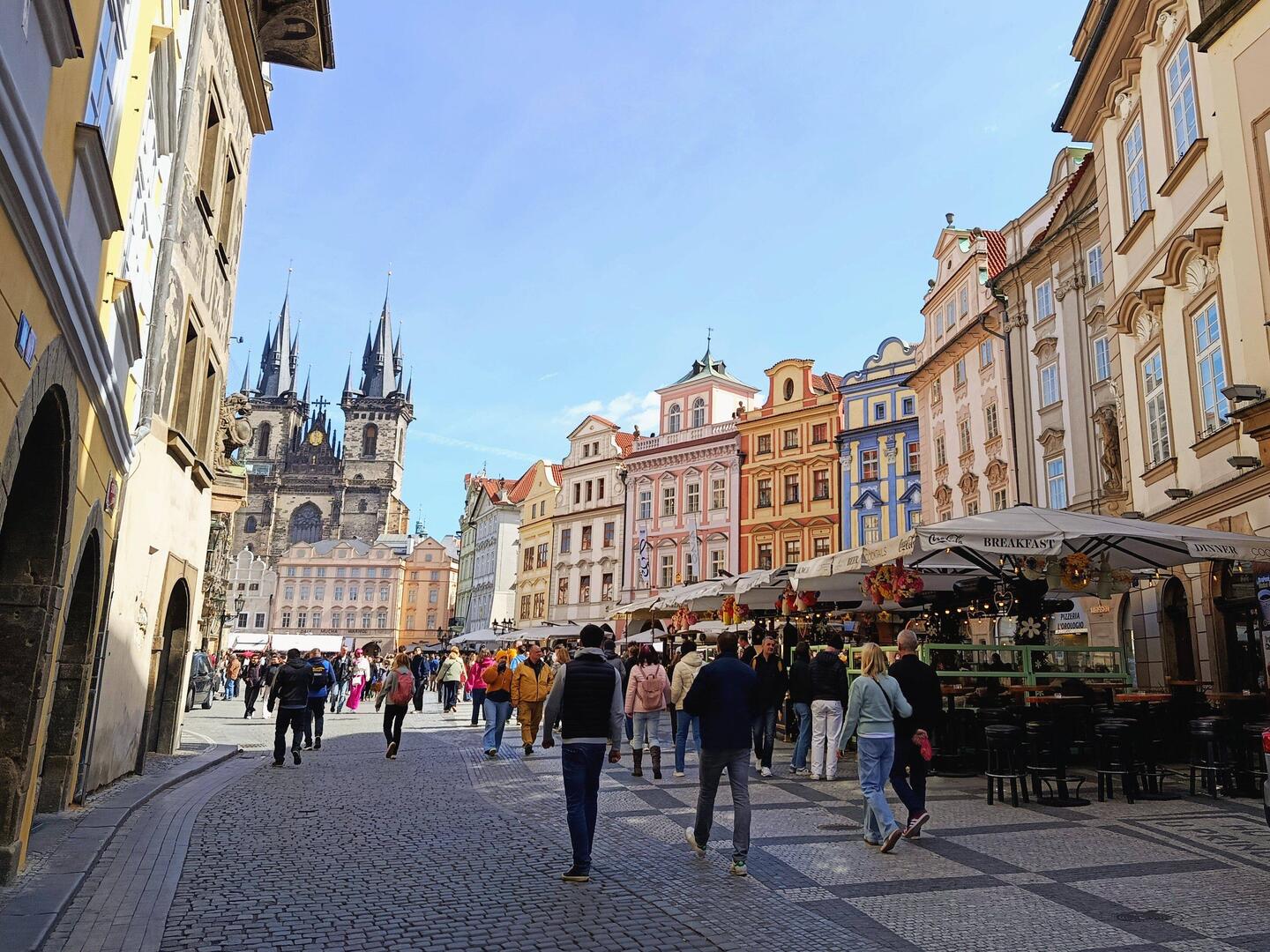 Colgate is great at removing dental prague