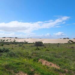 Sanddünen...