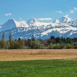 Die drei Giganten der Berner Alpen: Eiger, Mönch und Jungfrau ...