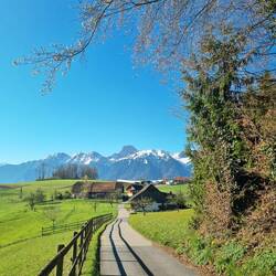 ... mit Blick zum Stockhorn ...