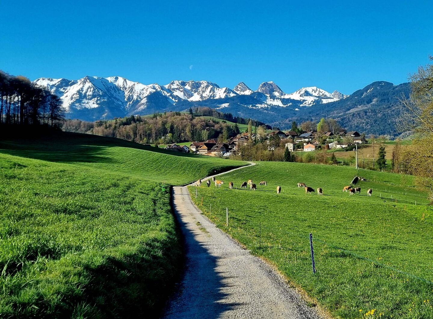 Traumhafte Bergkulisse mit dem halbrunden felsigen Gantrisch ...