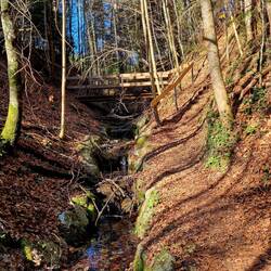 ... auf abwechslungsreichen Wegen ...