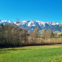 ... zum Geistsee - geisterhaft zu erahnen! Naturschutzgebiet und kaum zugänglich!