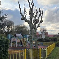 Children's play area
