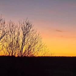 A beautiful sunset