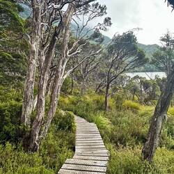 Cradle Mountain Nationalpark