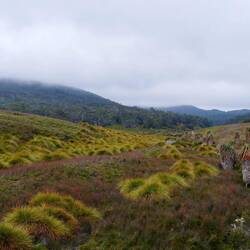 Cradle Mountain Nationalpark
