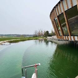 Naturschwimmteich derzeit 10°