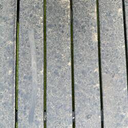 Sand coating everything