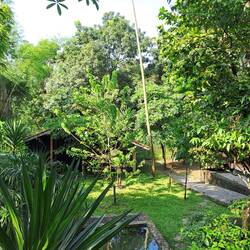 Garten mit Fischteich
