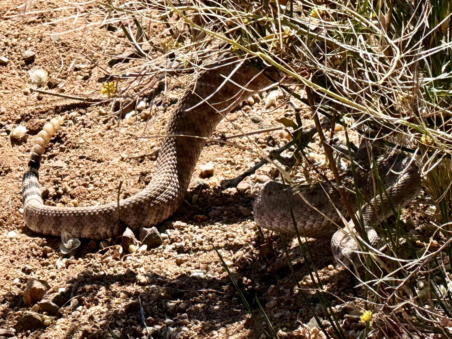 Ich hatte den Schock meines Lebens.