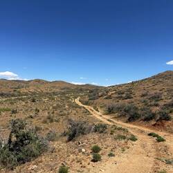 Der Weg führte immer weiter die Hügel hinauf.