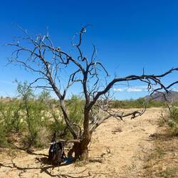 mein zweiter Rastplatz