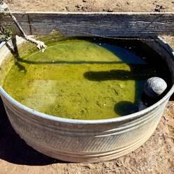 Nach 24 Kilometer bin ich endlich bei der ersten und einzigen Wasserquelle des Tages angelangt.