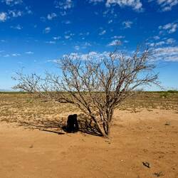 mein erster Rastplatz