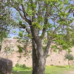 Hier machen wir Mittagspause und Regine im Gras ein Nickerchen.