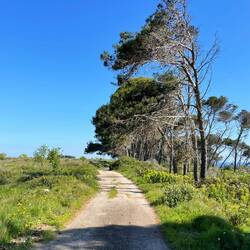 Ciao 👋🏻 nettes Plätzchen 😉