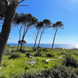 ..wir fahren einfach mal weiter und werden probieren ob es wo anders funktioniert..