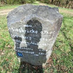 Selfis sind doch eigentlich ganz einfach.😄