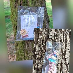 An mehreren Bäumen hingen solche Tütchen, mit der Aufforderung, bitte mitnehmen!😄🤷‍♂️