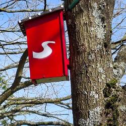 Diese roten Vogelhäuschen gefallen mir schon immer besser!😄