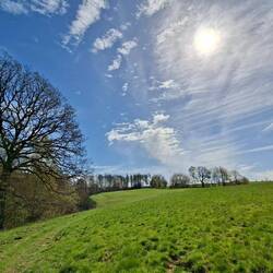 Wunderbare Wiesen.....