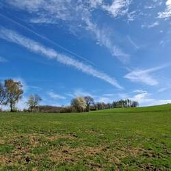 ....oberhalb von Leuscheid