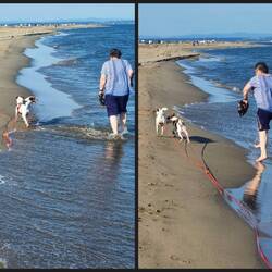 Wasserscheu sind sie beide überhaupt nicht 🤣