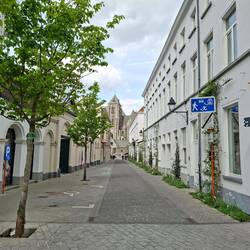 Begijnenlaan, die angrenzende Straße