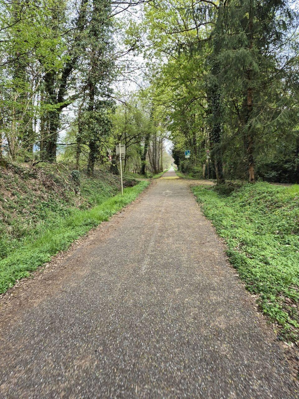 Heute Richtung Vogesen.