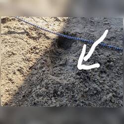 Und dann wie ein Mädchen raufgepieselt.Kamera zu spät zur Hand 🤣