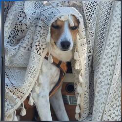 Aber mit Pariser Spitze Strandfein gemacht 😅